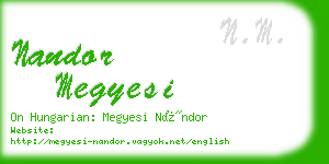 nandor megyesi business card